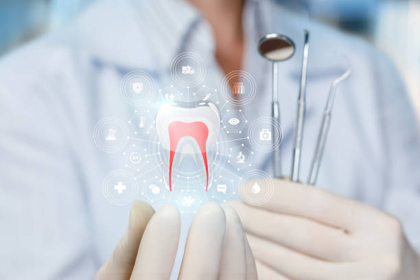 Best Pediatric Dentistry  in Victoria, MN